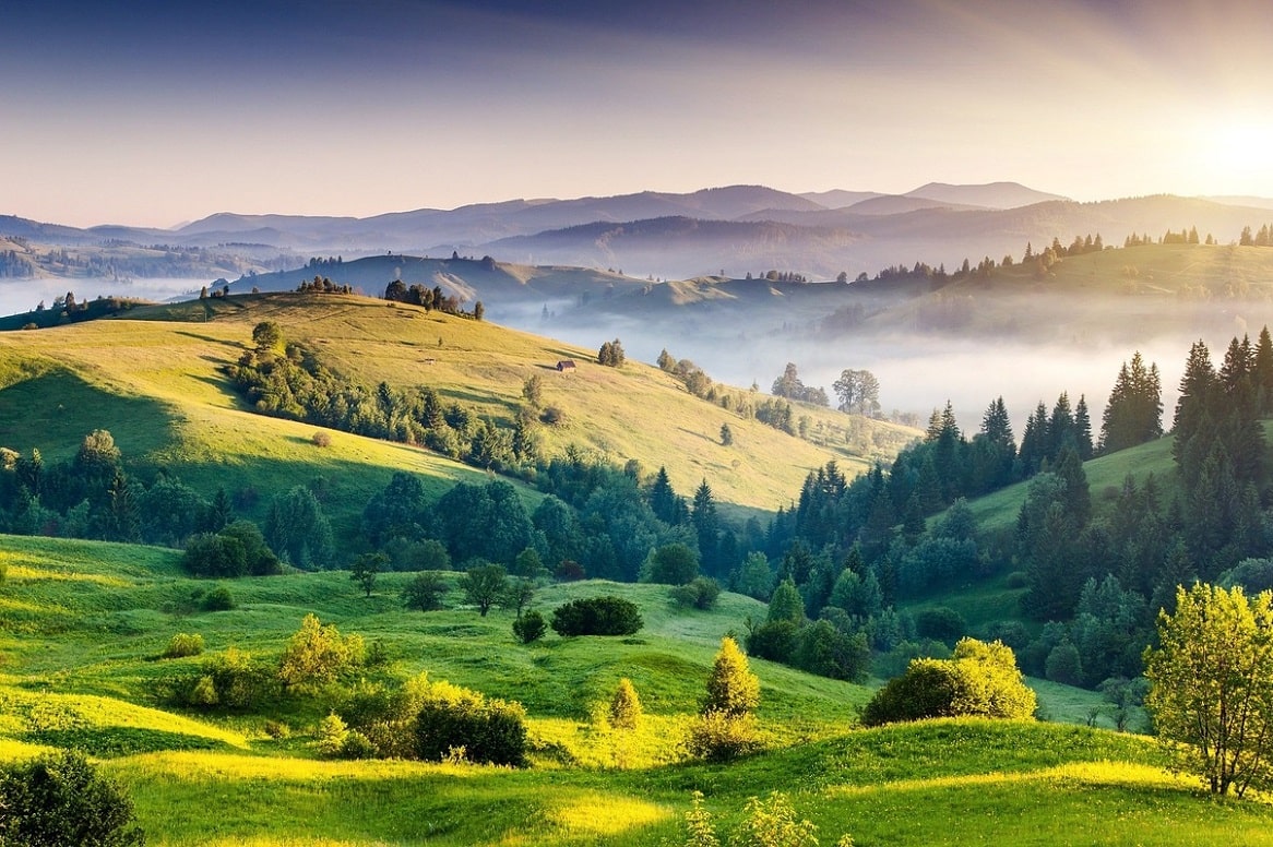 Places-to-Visit-in-Kodaikanal